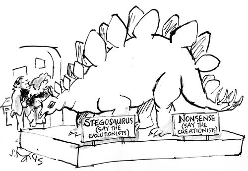 Stegosaurus (say the evolutionists).  Nonsense (say the creationists).