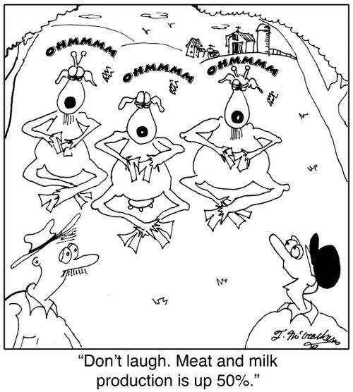 Don't laugh. Meat and milk production is up 50%.