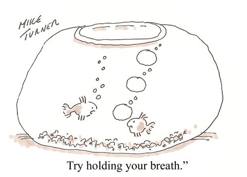 Fish Hiccups