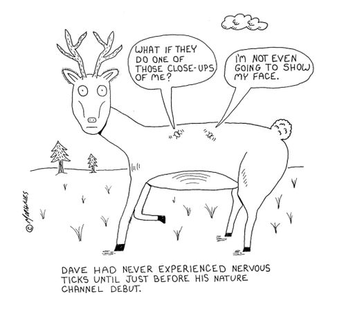 Dave had never experienced nervous ticks until just before his nature channel debut