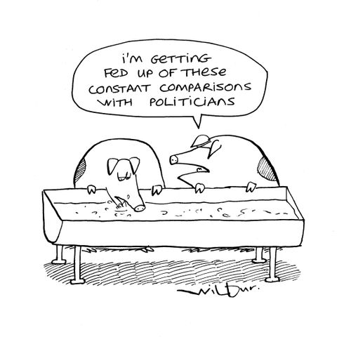 'I'm getting fed up with these constant comparisons with politicians.'