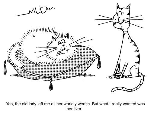 'Yes, the old lady left me all her worldly wealth. But what I really wanted was her liver.'