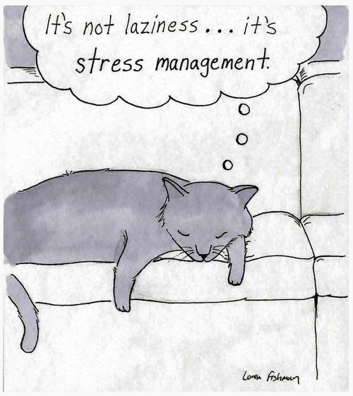 'It's not laziness, its stress management.'