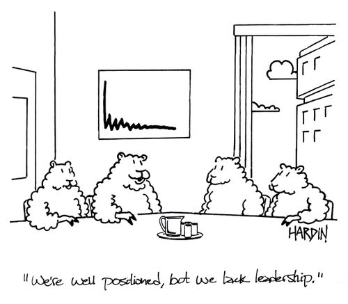 'We're well positioned, but we lack leadership.'