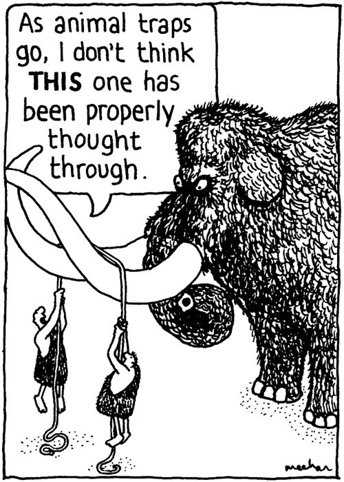'As animal traps go, I don't think THIS one has been properly thought through.'