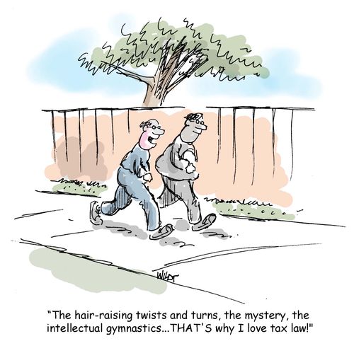 'The hair-raising twists and turns, the mystery, numbing  assault on the mind...THAT'S why I love tax law!'