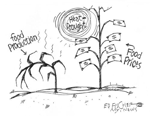 The only thing growing in the US drought is the food prices.