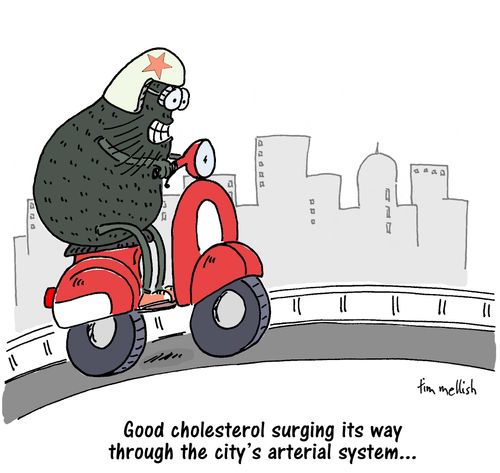 "Good cholesterol surging its way through the city's arterial system..."