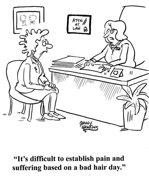 Lawyer to bad hair lady: 'It's difficult to establish pain and suffering based on a bad hair day.'