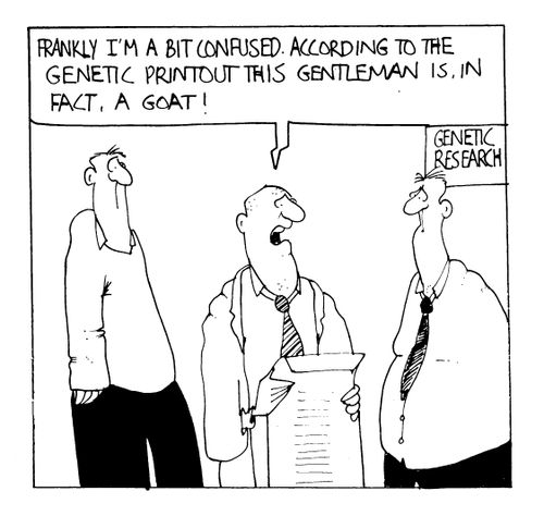 "Frankly I'm a bit confused. According to the genetic printout this gentleman is, in fact, a goat