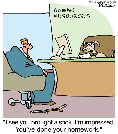 "I see you brought a stick. I'm impressed. You've done your homework."