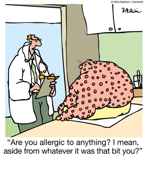 "Are you allergic to anything? I mean, aside from whatever it was that bit you?"