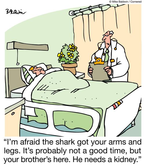 "I'm afraid the shark got your arms and legs. It's probably not a good time, but your brother's here. He needs a kidney."
