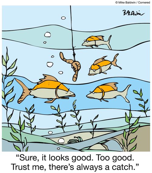 "Sure, it looks good. Too good. Trust me, there's always a catch."