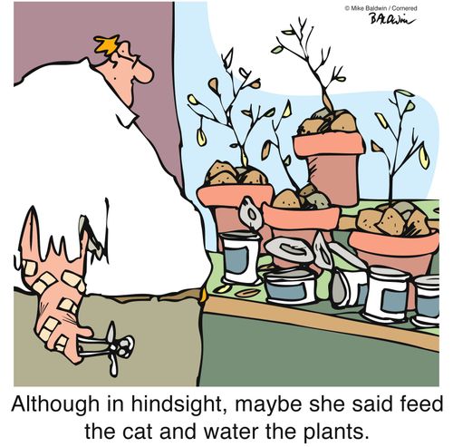 Although in hindsight, maybe she said feed the cat and water the plants.