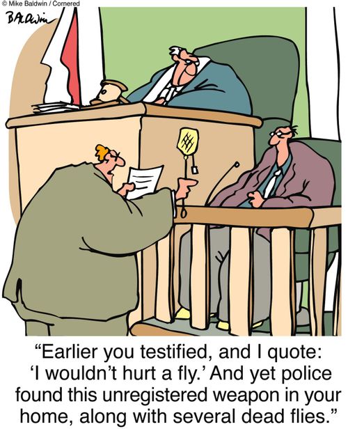 "Earlier you testified, and I quote: 'I wouldn't hurt a fly.' And yet police found this unregistered weapon in your home, along with several dead flies."