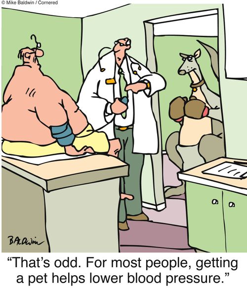 'That's odd. For most people, getting a pet helps lower blood pressure.'
