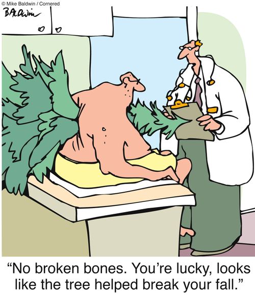 'No broken bones. You're lucky, looks like the tree helped break your fall.'