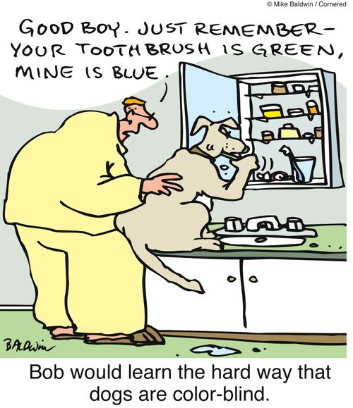 Bob would learn the hard way that dogs are color-blind.