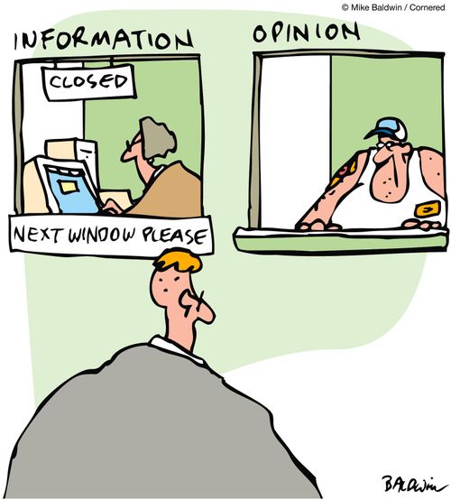 Information window, Opinion window.