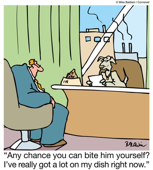 'Any chance you can bite him yourself? I've really got a lot on my dish right now.'