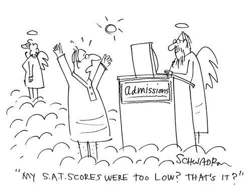 'My S.A.T. scores were too low? That's it?'