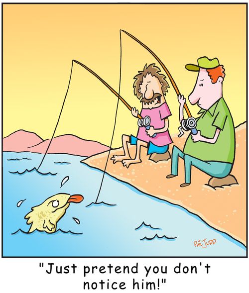 'Just pretend you don't notice him!'