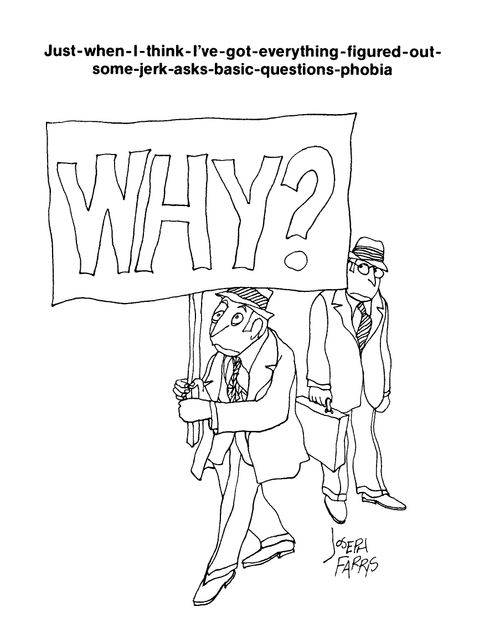 Just when I think I've got everything figured out some jerk asks basic questions phobia.  'Why?'