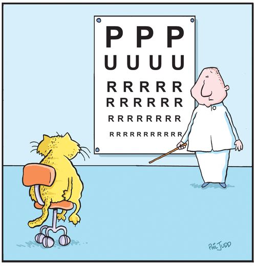 Cat sitting doing eye test with PUUURRRR on the eye chart.