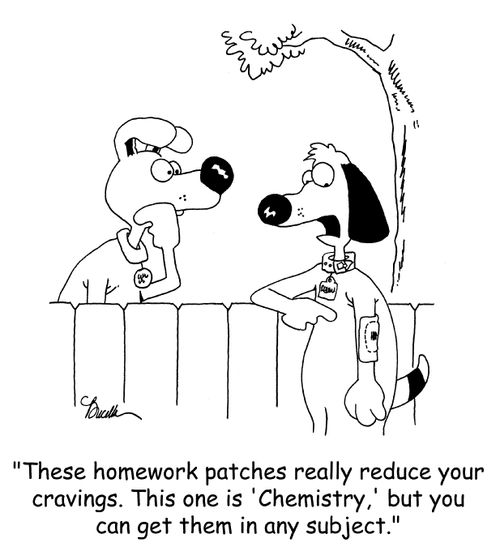 'These homework patches reduce your cravings. This one is 'Chemistry,' but you can get them in any subject.'