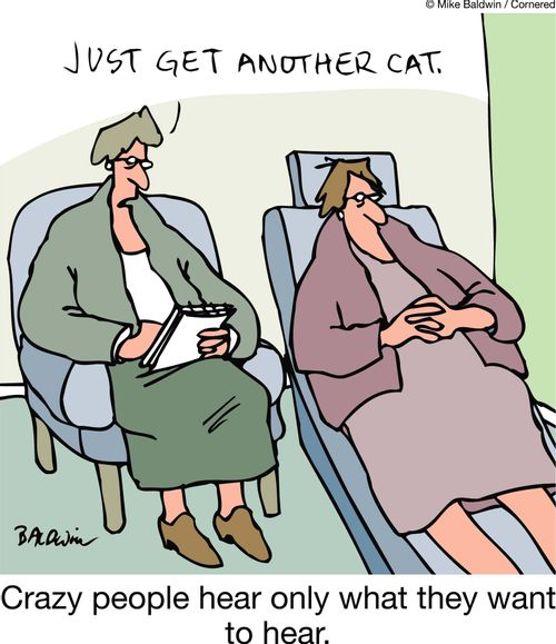 'Just get another cat' - Crazy people hear only what they want to hear.
