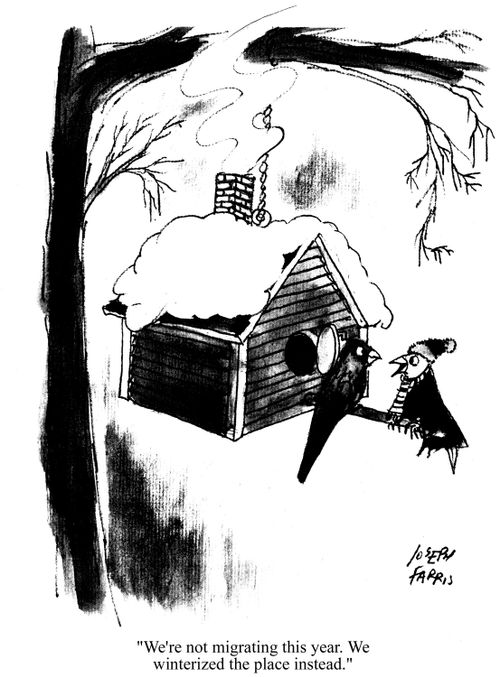 'We're not migrating this year. We winterized the place instead.'