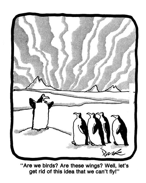 'Are we birds? Are these wings? Well, let's get rid of this idea that we can't fly!'