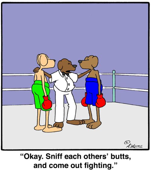 'Okay. Sniff each others' butts, and come out fighting.'