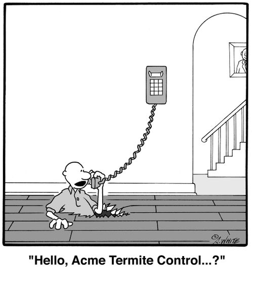 'Hello, Acme Termite Control...?'
