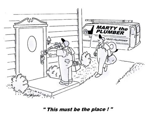 'This must be the place!'