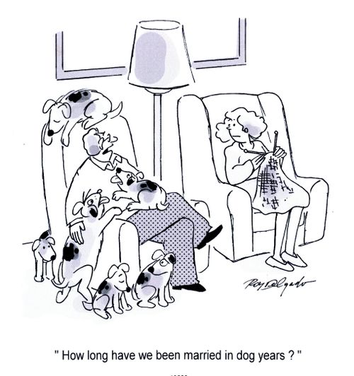 'How long have we been married in dog years?'