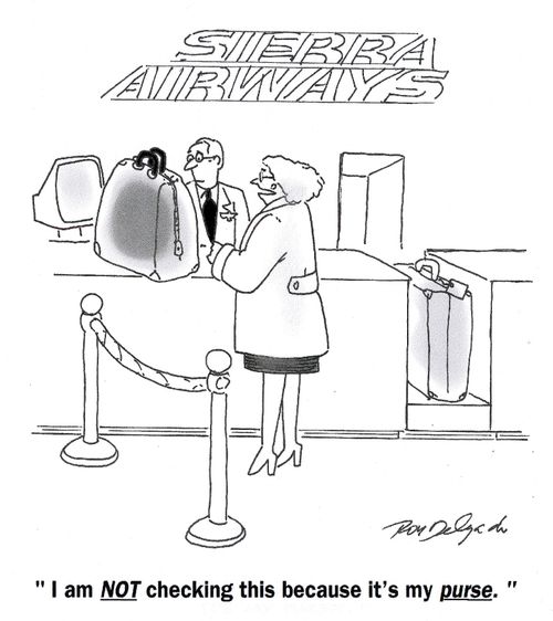 'I am not checking this because it's my purse.'