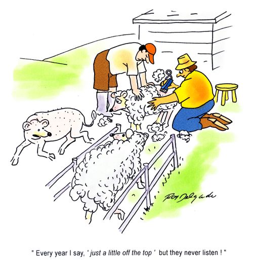 'Every year I say, 'Just a little of the top' but they never listen.'