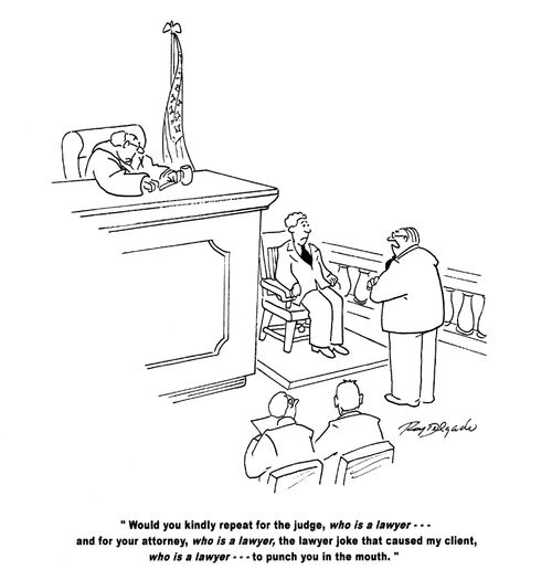 'Would you kindly repeat for the judge, who is a lawyer...and for your attorney, who is a lawyer, the lawyer joke that caused my client, who is a lawyer...to punch you in the mouth.'