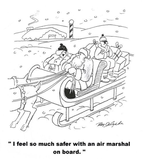 'I feel so much safer with an air marshal on board.'