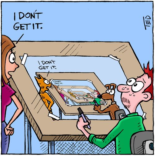 'I don't get it.' 