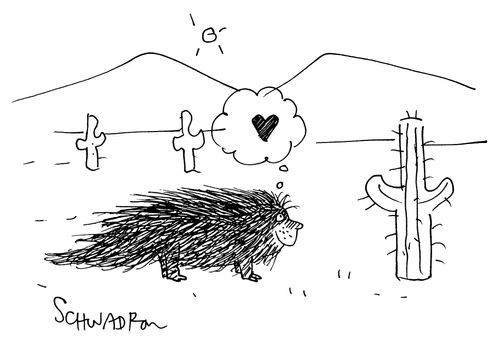 Porcupine.