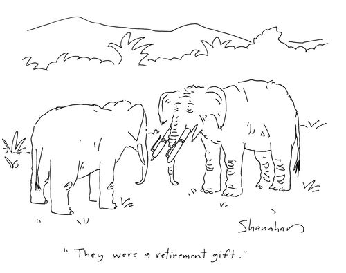'They were a retirement gift.'