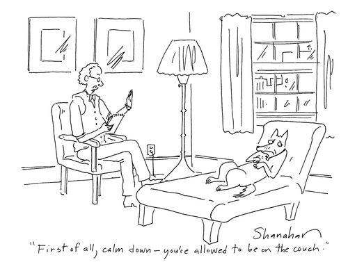 'First of all, calm down - your allowed to be on the couch.'