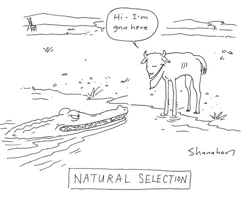 'Natural selection - 'Hi - I'm gnu here.''