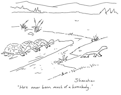 'He's never been much of a homebody.'