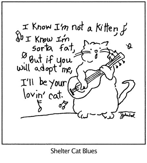 'I know I'm not a kitten, I know I'm sorta fat, But if you will adopt me, I'll be your lovin' cat.' Caption:Shelter Cat Blues