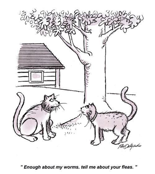 'Enough about my worms, tell me about your fleas.'