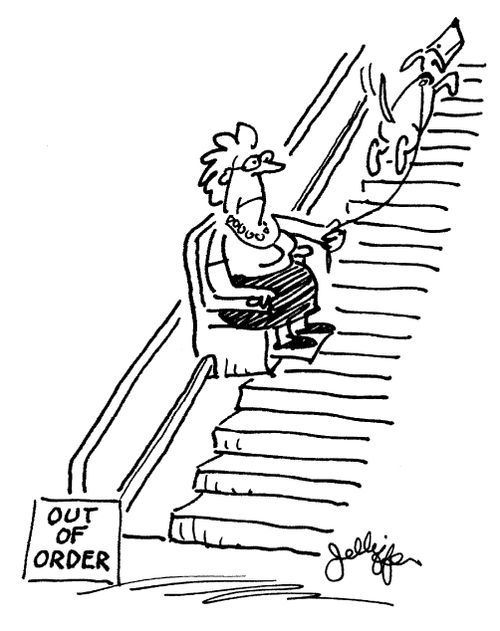 Elderly lady being pulled up an out-of-order stair lift by her pet dog.